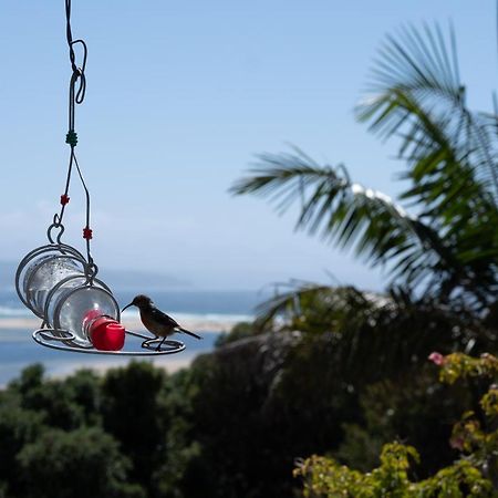 Room With A View Plettenberg Bay Esterno foto