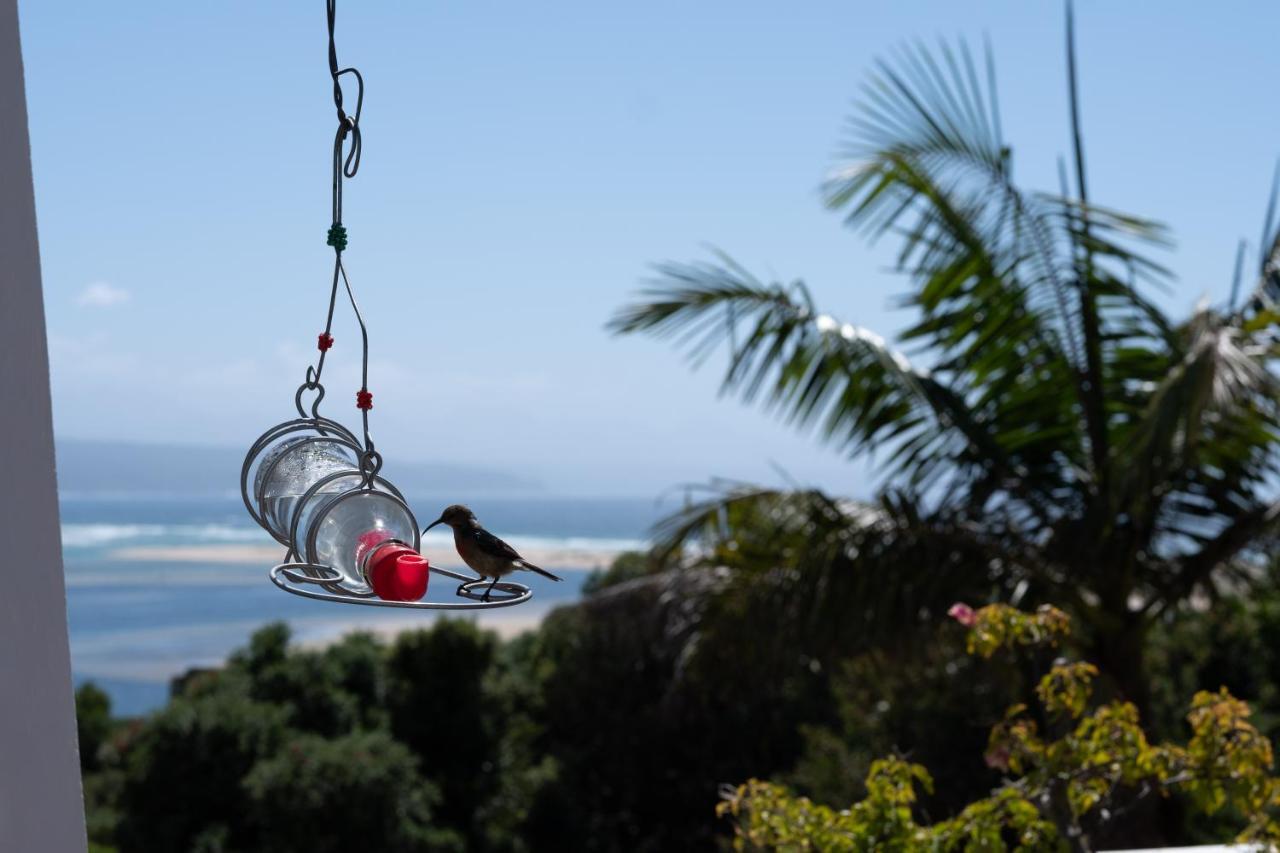 Room With A View Plettenberg Bay Esterno foto